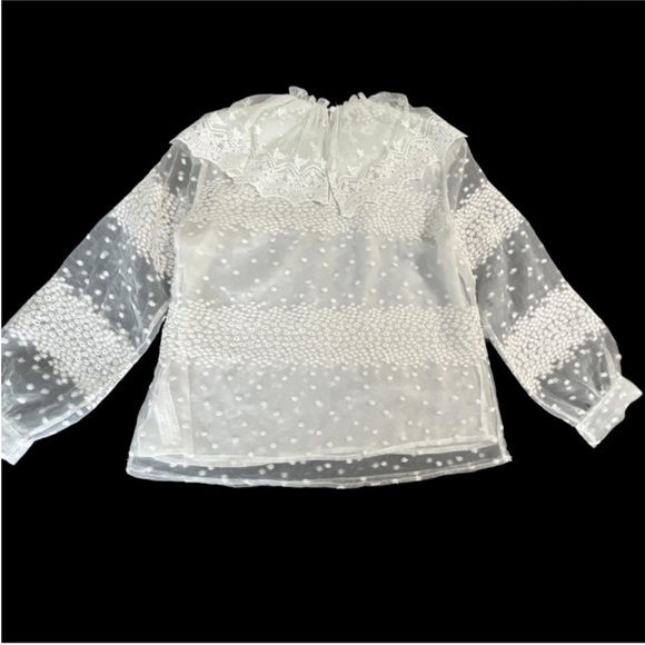 Zara Victorian White Lace Organza Ruffled Blouse with Floral Embroidery - Picture 6 of 11